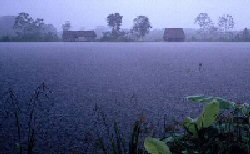 Lluvia en el Amazonas